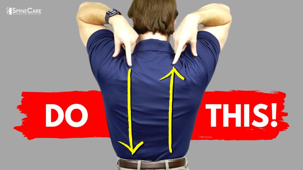 The Best FULL BACK Stretching Exercises | SpineCare | St. Joseph, MI Chiropractor